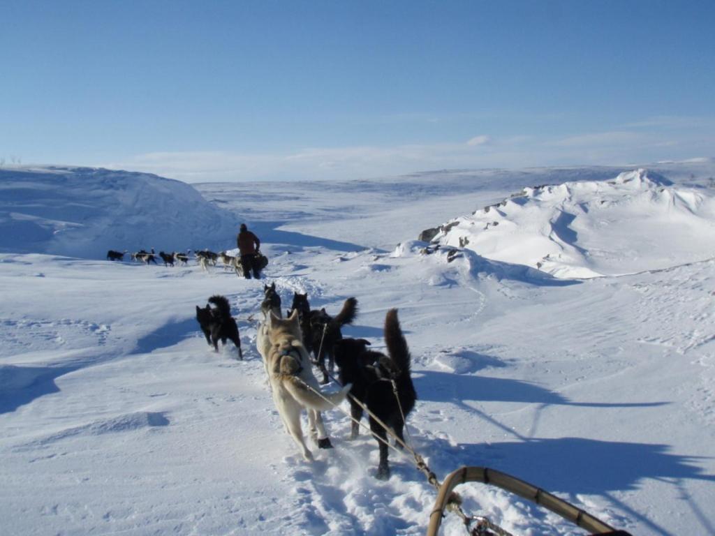 Engholm Husky Design Lodge คาราช็อค ภายนอก รูปภาพ