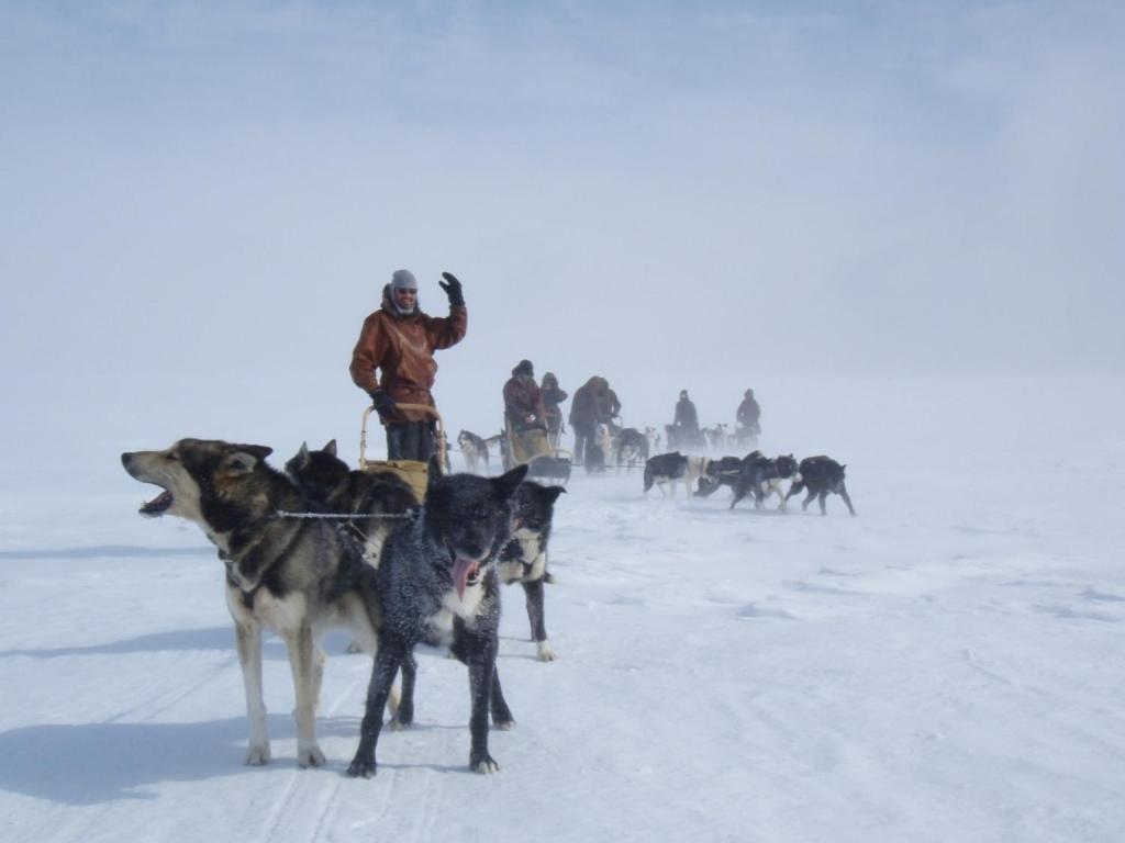 Engholm Husky Design Lodge คาราช็อค ภายนอก รูปภาพ