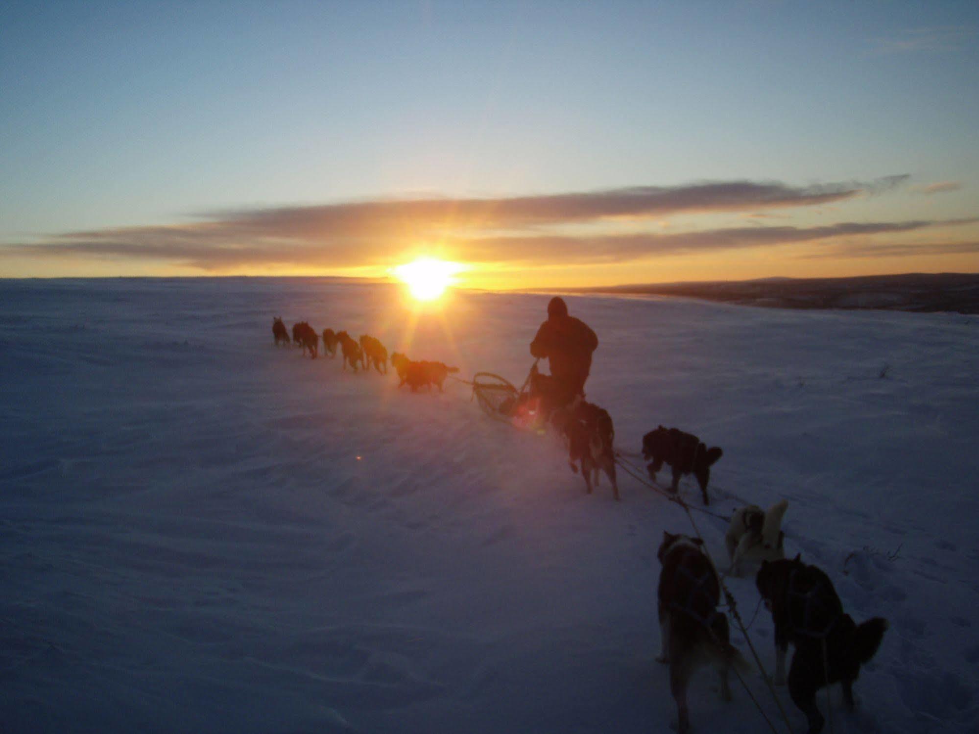 Engholm Husky Design Lodge คาราช็อค ภายนอก รูปภาพ